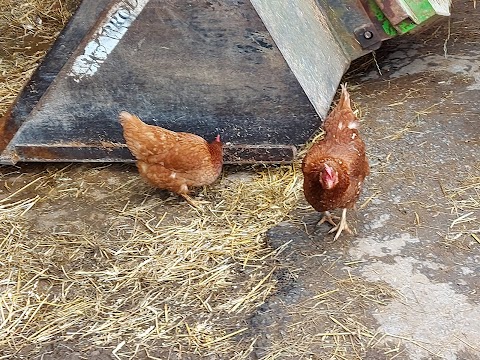 Lancaster Farm Shop