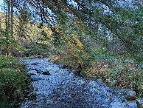 Yellow Water Picnic Site