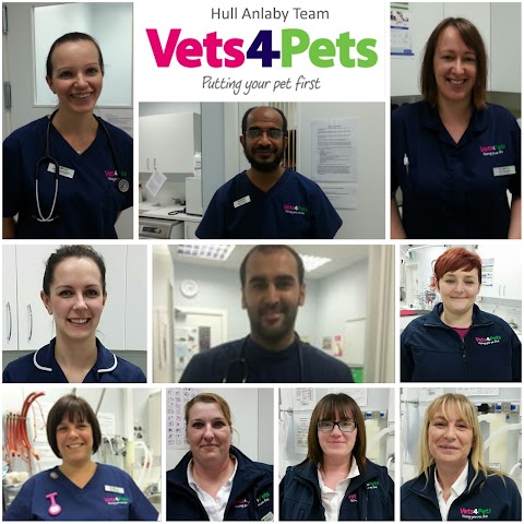 Vets4Pets - Hull Anlaby