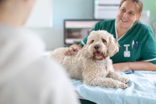 Rosemary Avenue Veterinary Clinic