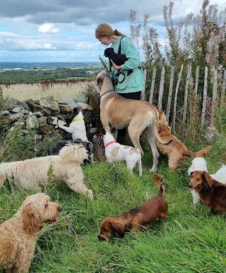 Doonane Dog Grooming & Boarding Kennels