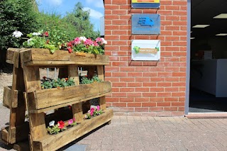 Pallet Planter UK