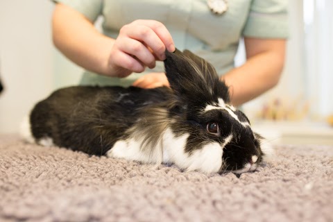 The Gatehouse Veterinary Centre