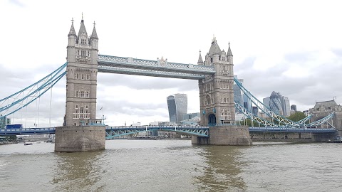 Thames River Tours