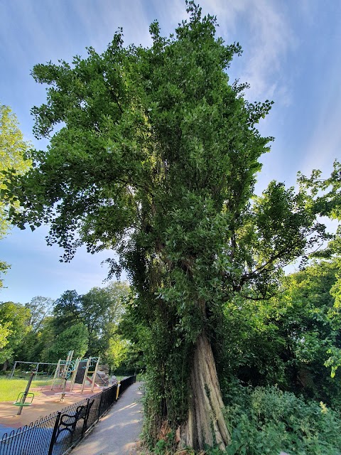 Ravensbury Park