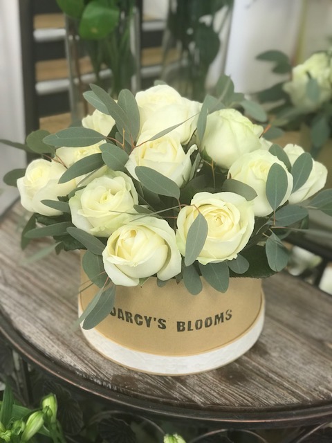 Darcy’s Blooms