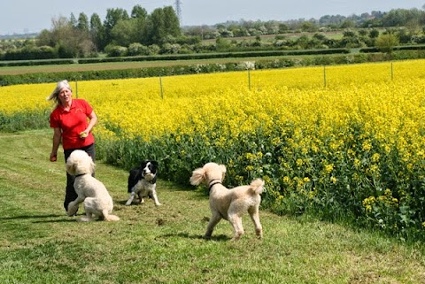 Belvoir Boarding Kennels