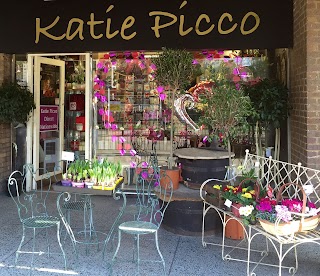 The Katie Picco Team