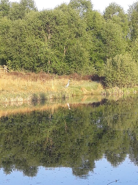 Chasewater Watersports Centre