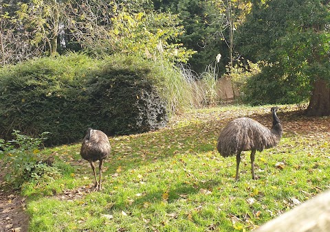 Lotherton Wildlife World