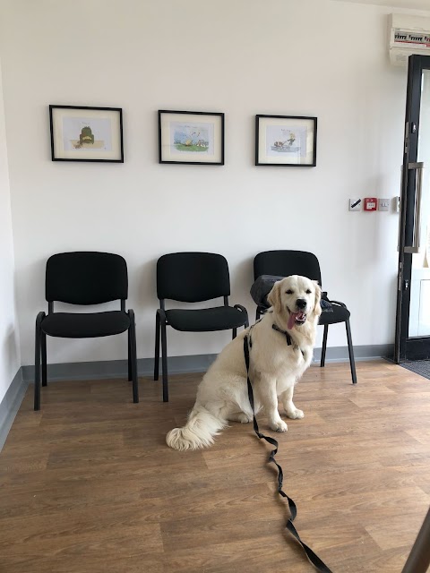 Vale Veterinary Centre - Cardiff