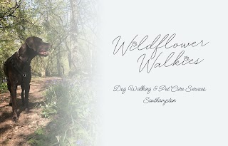 Wildflower Walkies - Dog Walker & Pet Care Services Southampton