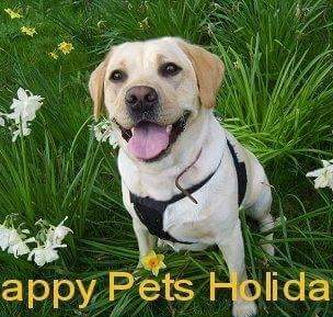 Happy Pets Holidays