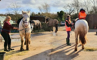 Derbyshire Pony Trekking