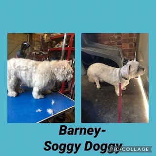 Soggy doggy dog grooming