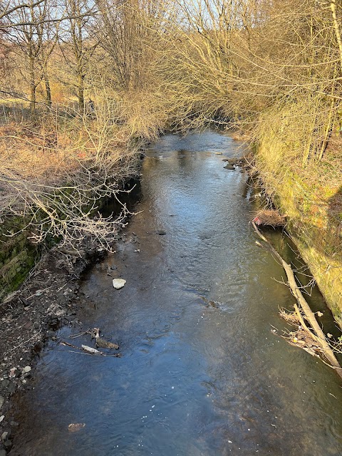 Dearne Valley Park