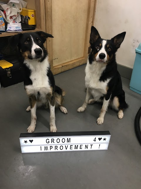 Groom for Improvement