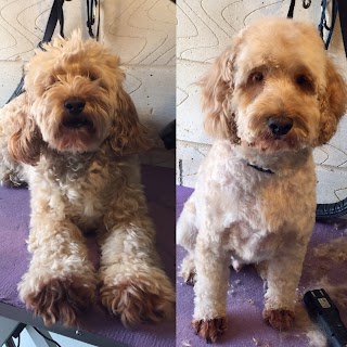 SmartDogs Grooming Waltham Abbey