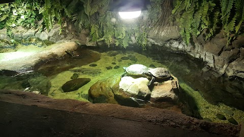 National SEA LIFE Centre Birmingham