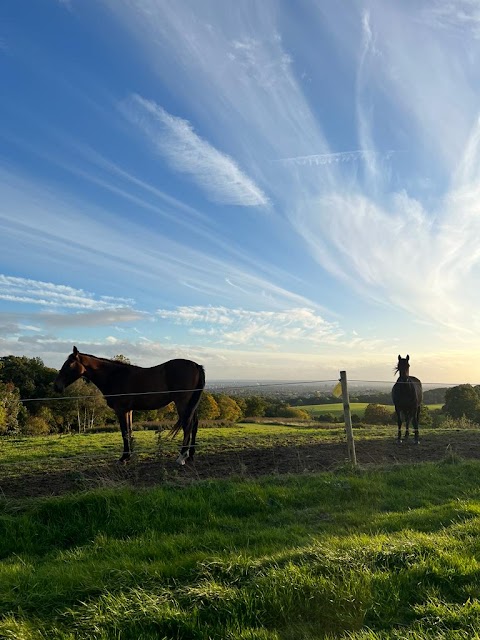 Havering Country Park