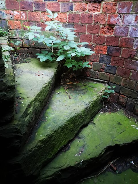 Headingley Bear Pit