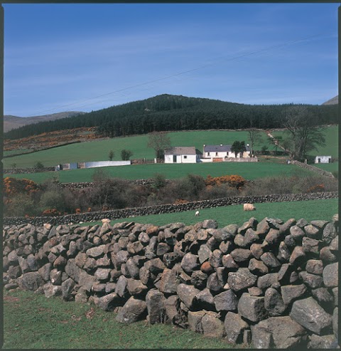 The Mourne Lodge