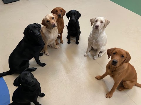 Oxford Pet Whisperers