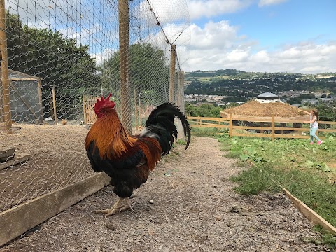 Bath City Farm