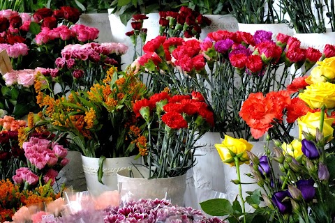 Homeland Florists