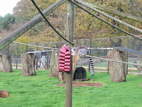 Longleat Guest Services