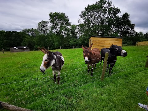 Bucklebury Farm & Deer Safari Park