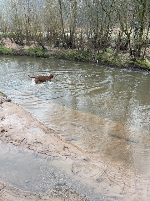 Styal Park Beach