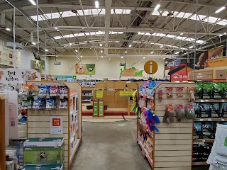 Pets at Home Croydon