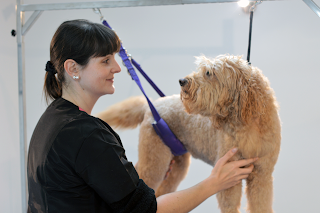 Clifton Dog Grooming