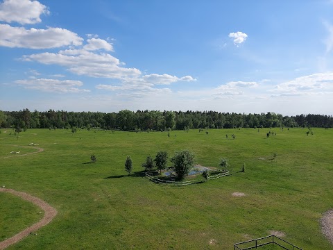 Парк природи Беремицьке