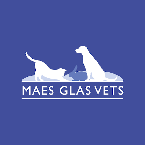 Maes Glas Vets, Llantrisant