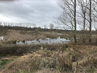 Fishlake Meadows Nature Reserve