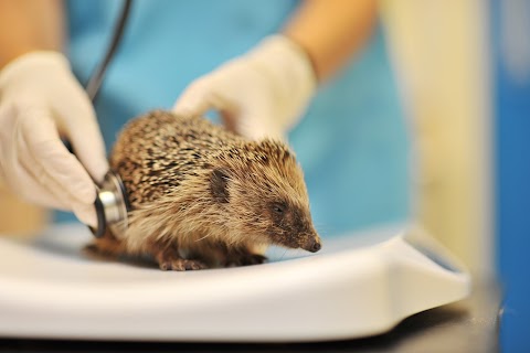 Shipley and Idle Veterinary Centres