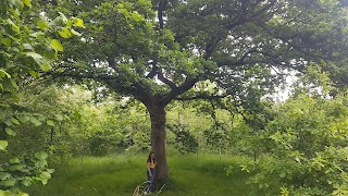 Nabb Lane Woods' Lodges