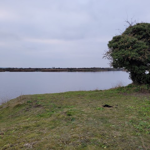 Cliffe Pools