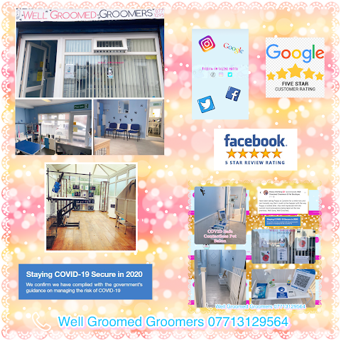 WellGroomed Groomers & Pet Boutique