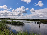 RSPB St Aidan's