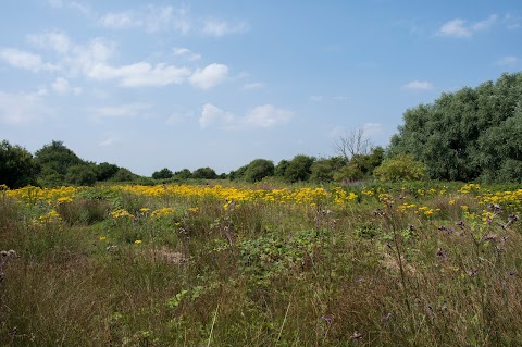 Brandon Marsh Nature Reserve