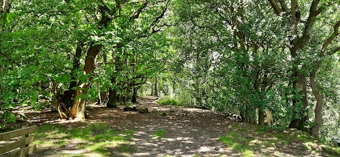 Shining Cliff Hostel car park