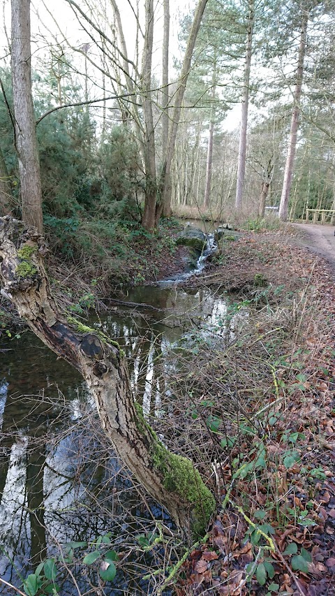 Center Parcs Wildlife Sanctuary