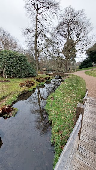 Water Garden