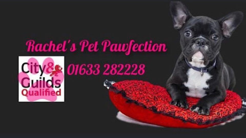 Rachels Pet Pawfection - Dog Grooming