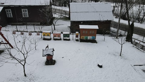 Садиба Пасічника