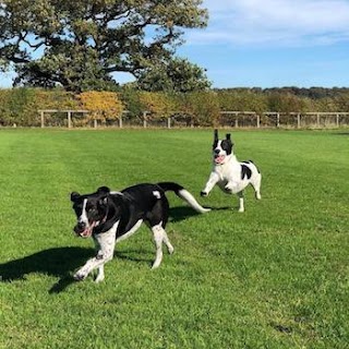 Cheshire Home Boarding