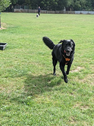 Thrift End Farm Canine & Pet Centre